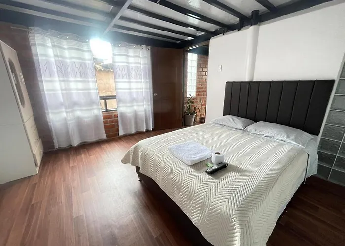 Casa Raiz